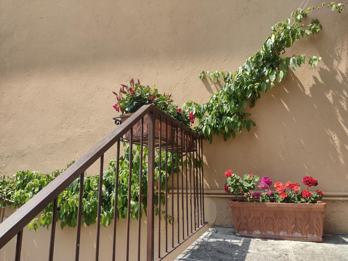 Casa Gabri Διαμέρισμα Toscolano Maderno Εξωτερικό φωτογραφία
